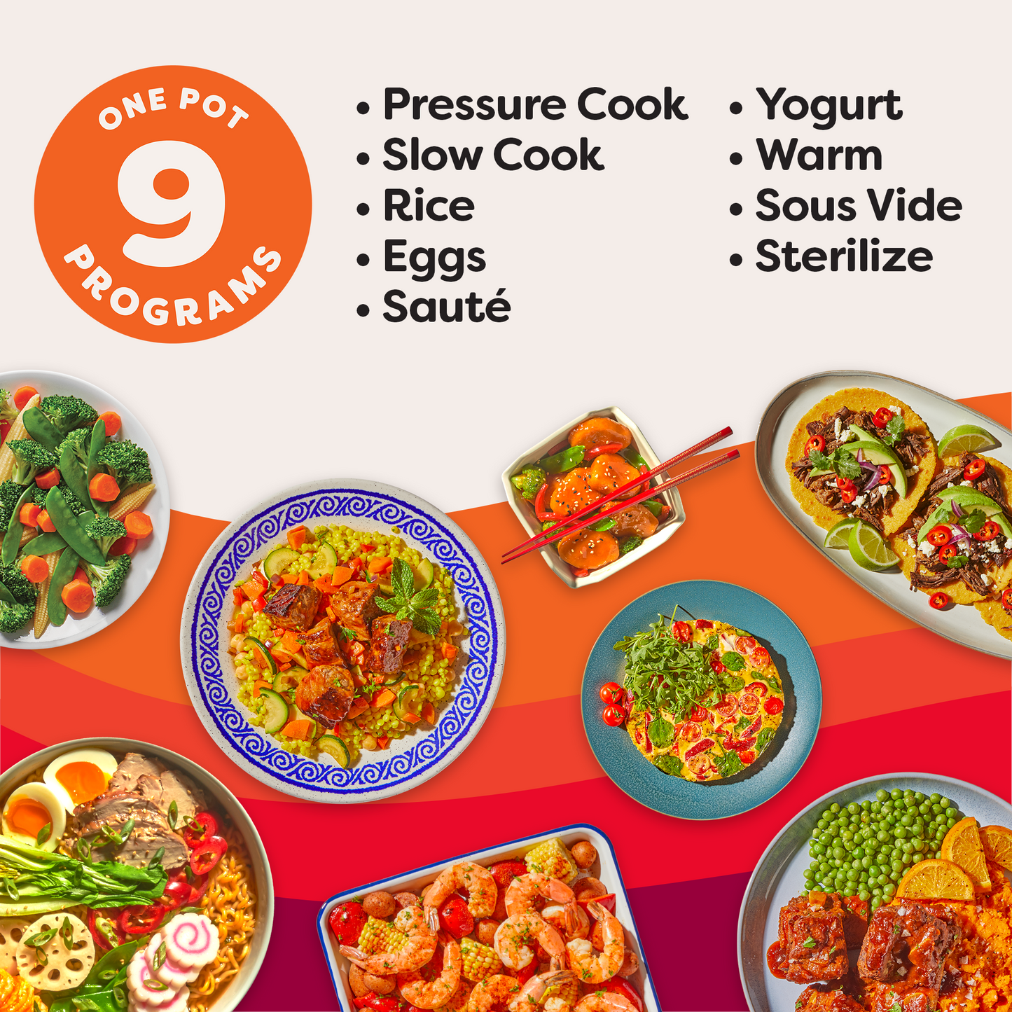 Instant Pot® DUO® Plus 6QT Multi-Use Pressure Cooker, V3