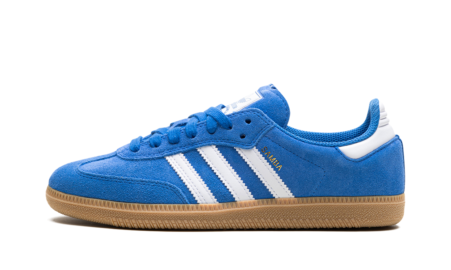 Samba Adv "Blue Bird" JP5719